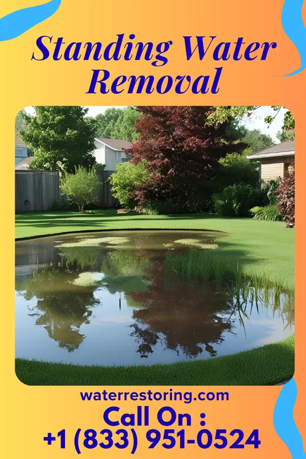 Standing Water Removal in Bell, FL